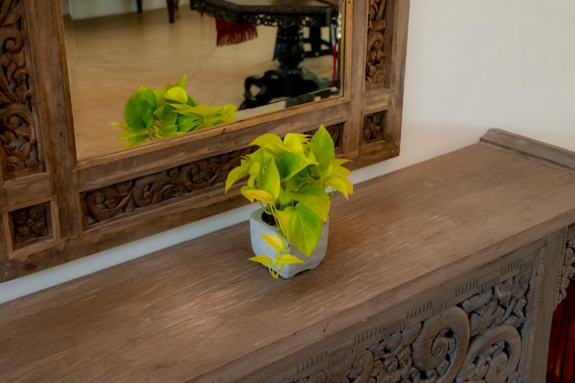 Galle Heritage Villa المظهر الخارجي الصورة
